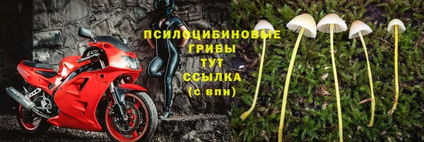 герыч Гусь-Хрустальный