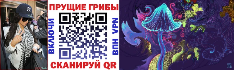 где можно купить   MEGA ТОР  Галлюциногенные грибы Psilocybe  Хвалынск 